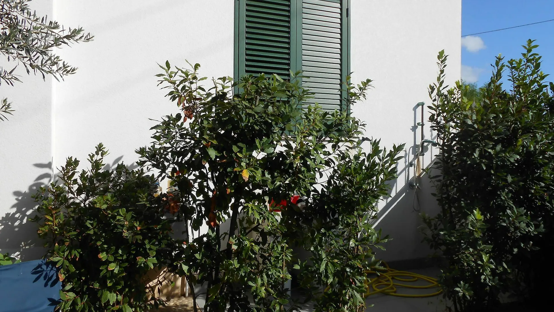 When The Home The Trip Becomes Marsala