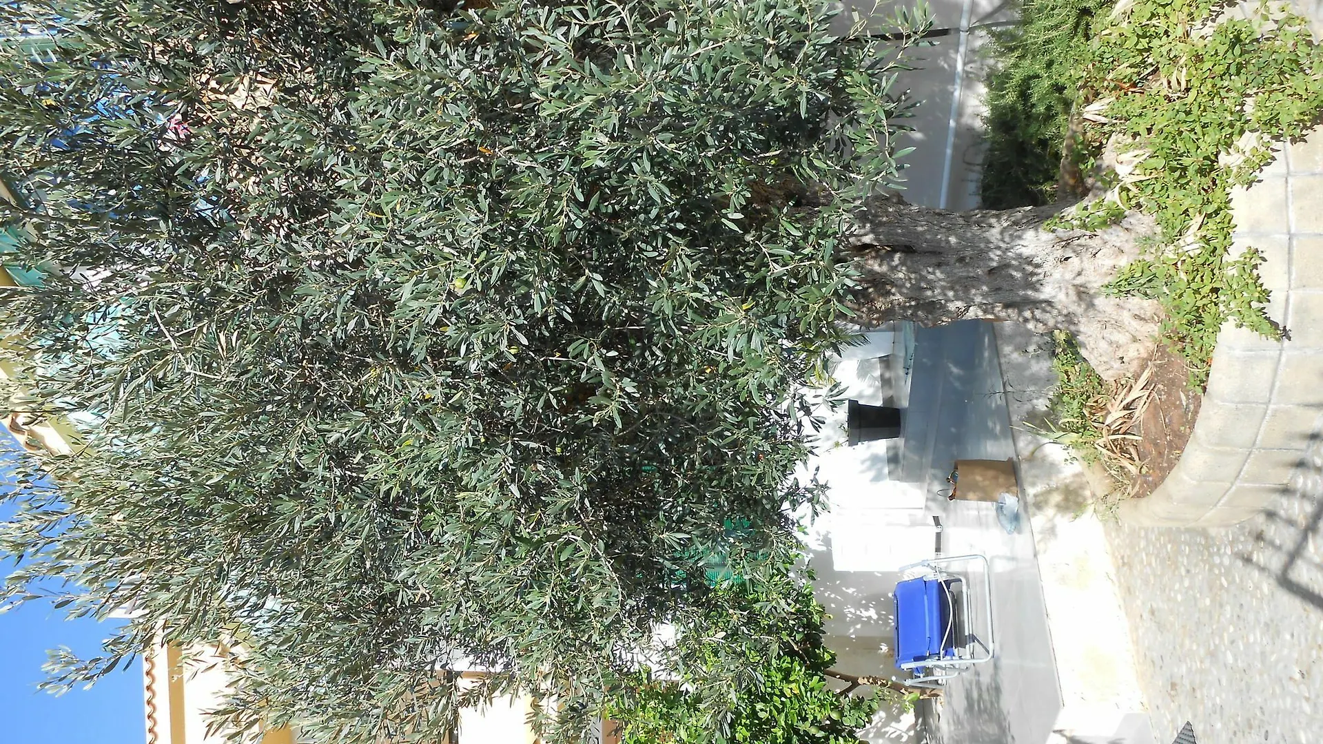 When The Home The Trip Becomes Marsala Apartment